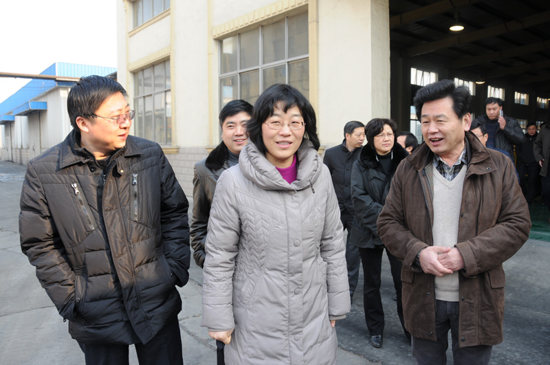 陈红红到新洋经济区调研