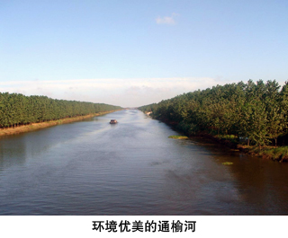 环境保护篇(四)_中国亭湖