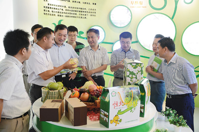 亭湖区统计局 人口_...作暨第六次全国人口普查表彰会议 -江苏省统计局