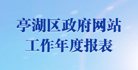 政府网站工作年度报表