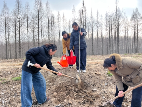 黄尖镇兴农村：绿化家园 巾帼先行