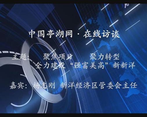 聚焦项目 聚力转型 全力建设“强富美高”新新洋