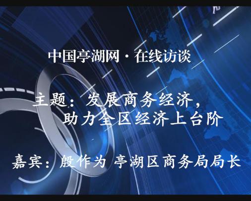 发展商务经济，助力全区经济上台阶